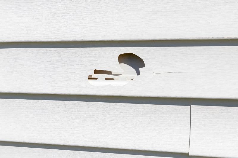 Vinyl Siding Damage Assessment